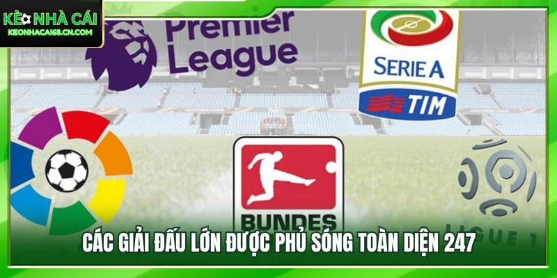 Cập nhật kết quả liên tục từ những giải đấu bóng đá hàng đầu 