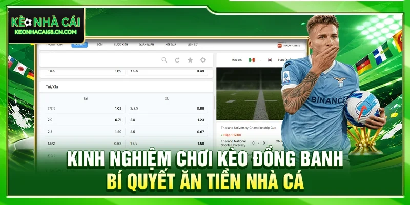 Kinh Nghiệm Chơi Kèo Đồng Banh – Bí Quyết Ăn Tiền Nhà Cái 